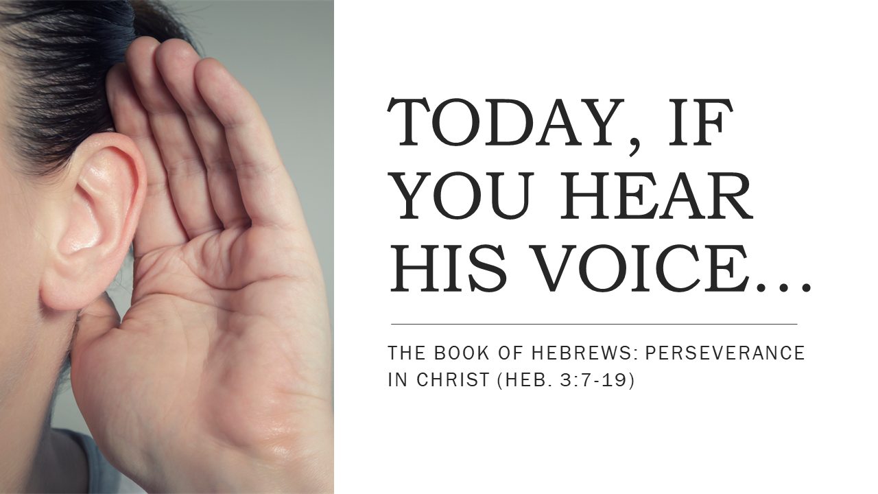 Hebrews Sermon Series | Perseverance in Christ | Today, If You Hear His Voice Pt.3 | Hebrews 3:7-19